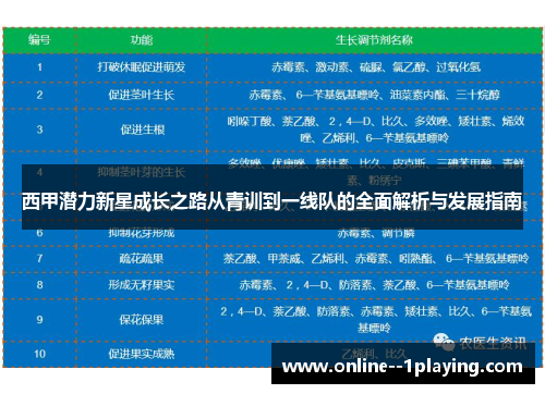 西甲潜力新星成长之路从青训到一线队的全面解析与发展指南