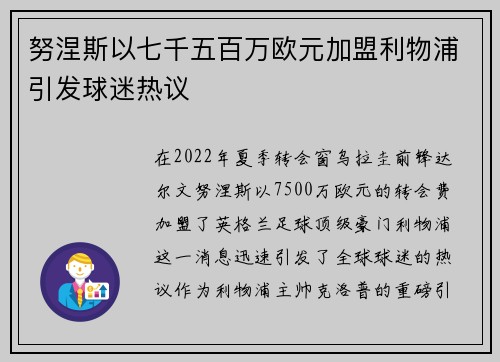 努涅斯以七千五百万欧元加盟利物浦引发球迷热议 努涅斯以七千五百万欧元加盟利物浦引发球迷热议